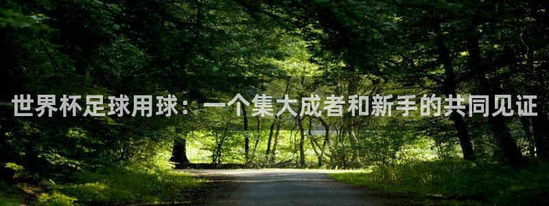 2026世界杯亞洲預選賽賽程：世界杯足球用球：一個集大成者和新手的共同見證