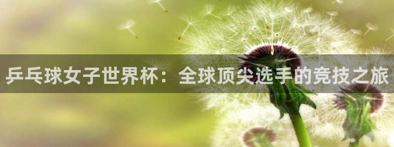歐洲區(qū)世界杯預(yù)選賽：乒乓球女子世界杯：全球頂尖選手的競(jìng)技之旅