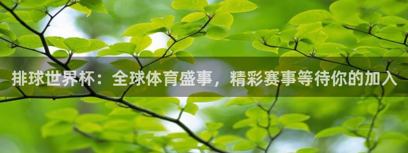 2026年男足世界杯：排球世界杯：全球體育盛事，精彩賽事等待你的加入
